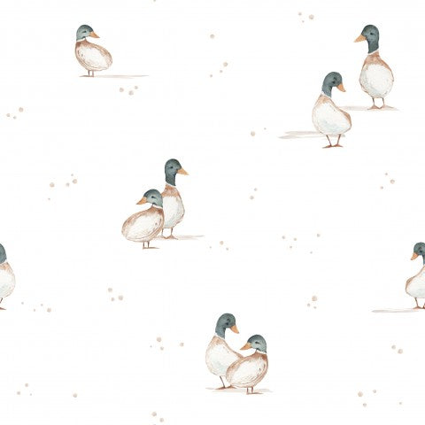 Satin cotton ducks on white background