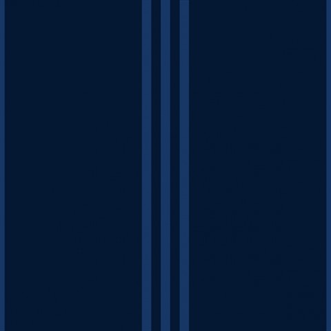 Wildblumen-Strahlen in dunkelblauer Seide - unsere Baumwolle Canvas Collection Stripe Dark Blue bietet Ihnen eine einzigartige Mischung aus Natur und Design. I