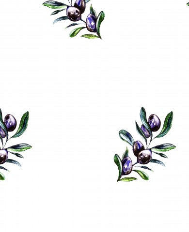 Musselin Olivenzweigen und Blättern