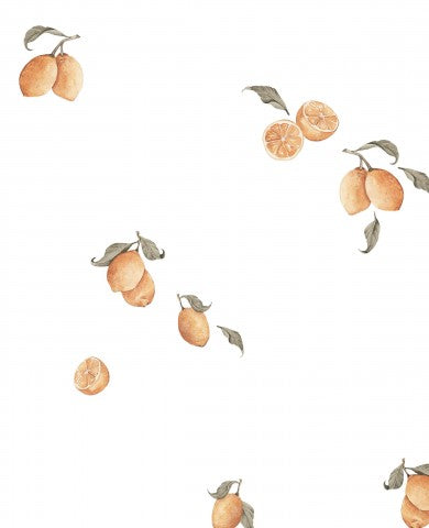Panama oranges on a white background