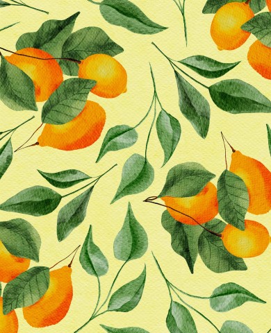 Jersey oranges and leaves on a yellow background