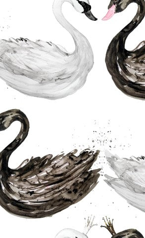  Mussola, illustrazione ad acquerello di cigni su sfondo bianco