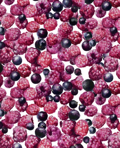 French Terry a bouquet of raspberries and blueberries on a white background