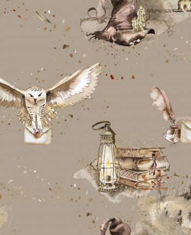 Toile de coton sans couture Harry Potter avec des hiboux et des livres