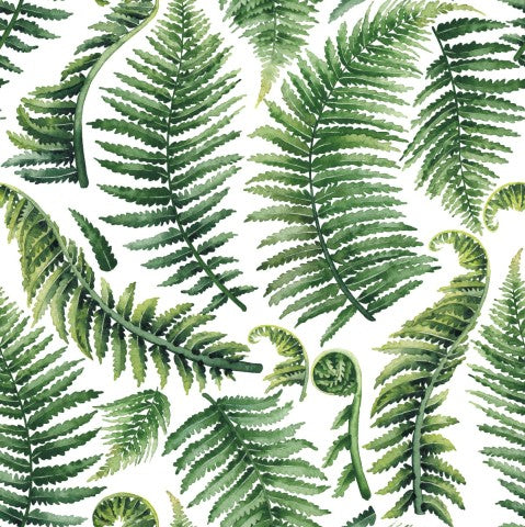Toile de coton à motif de feuilles de fougère vertes sur fond blanc