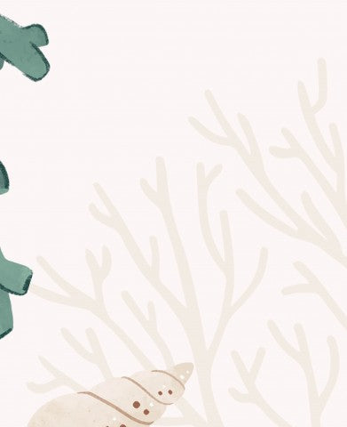 French Terry shells and mussels on beige background