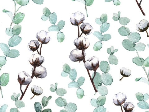  Fiori e foglie di cotone Panama su sfondo bianco