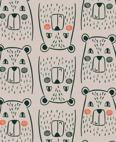 Jersey Bear Faces