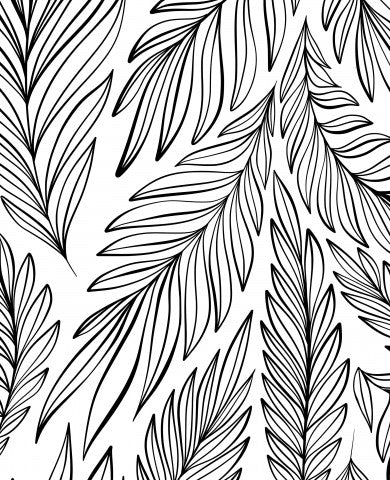 Muslin Black and White Contour Drawing Leaves