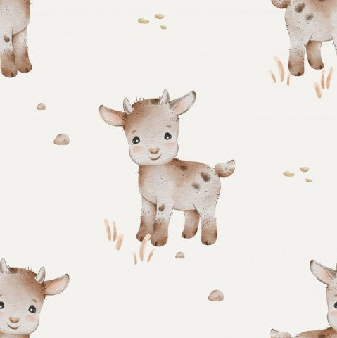 Jersey Brown Goat, Off-White