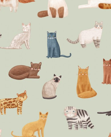 SoftShell cat pattern on green background