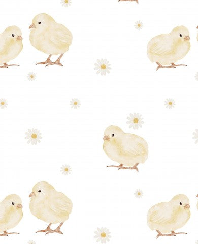 SoftShell chicks and daisies