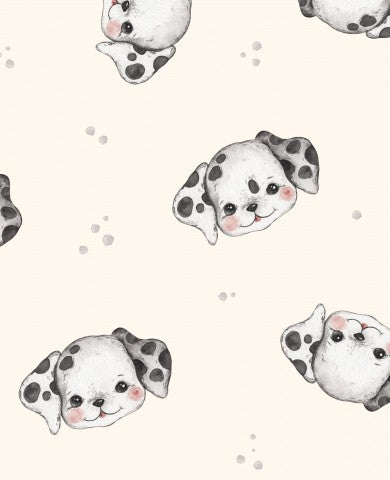Jersey Dalmatian Cream