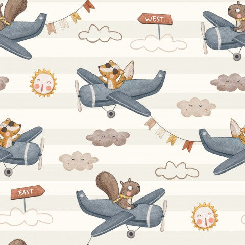 Jersey Squirrel and Fox Plane