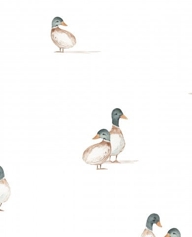  Patos de algodón satinado sobre fondo blanco