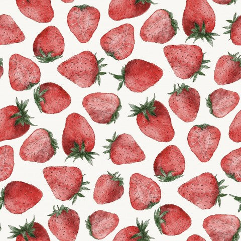 Jersey Strawberries Fruit