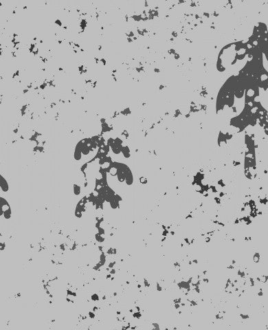 Satin de coton, une image en noir et blanc d'un arbre dans la forêt