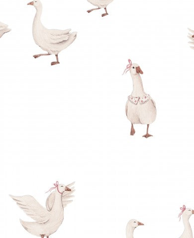 Jersey geese white
