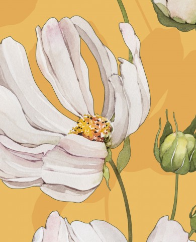  Mussola con illustrazione di fiori bianchi su sfondo giallo