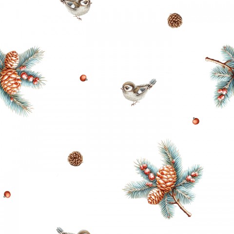 Oiseaux à carapace molle et pommes de pin sur fond blanc