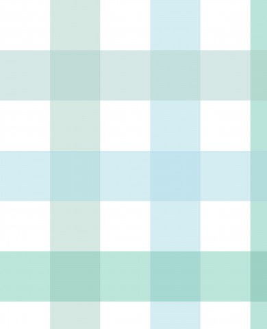 Jersey Gingham mint and blue maxi