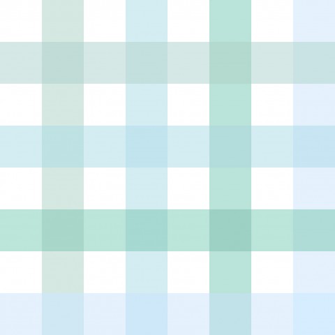 Jersey Gingham mint and blue medium