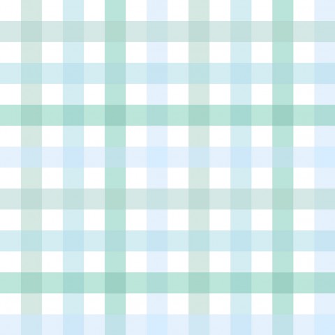 Jersey Gingham mint and blue mini