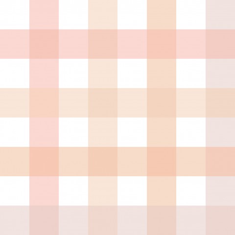 Jersey Gingham Pink and Peach, Medium