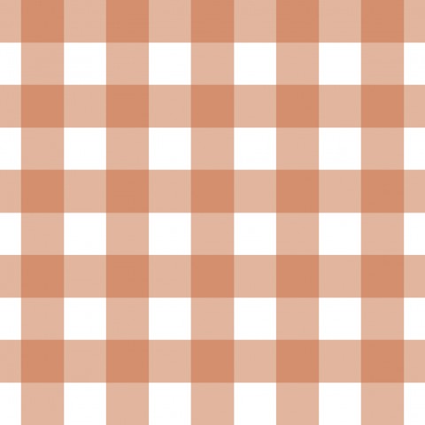 Waterproof fabric Gingham Rust 10x10cm