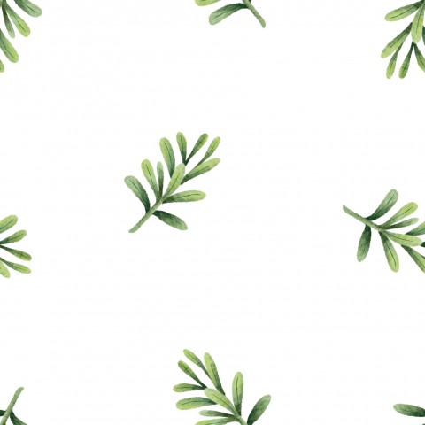 Jersey green branches on white