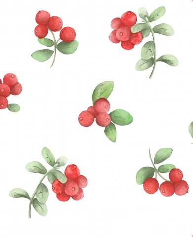 Tissu imperméable à motifs de baies rouges sur fond blanc