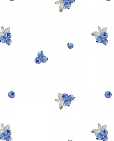 Jersey blueberries white