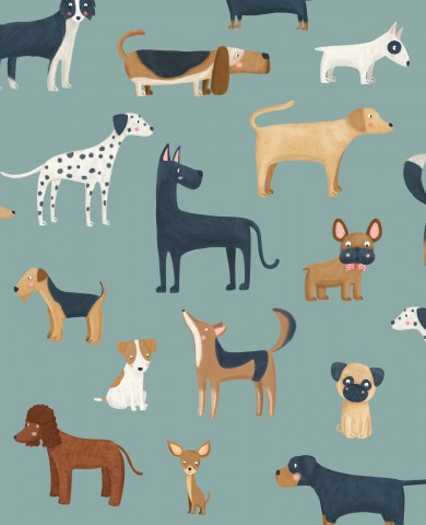 Jersey dogs in bottle green
