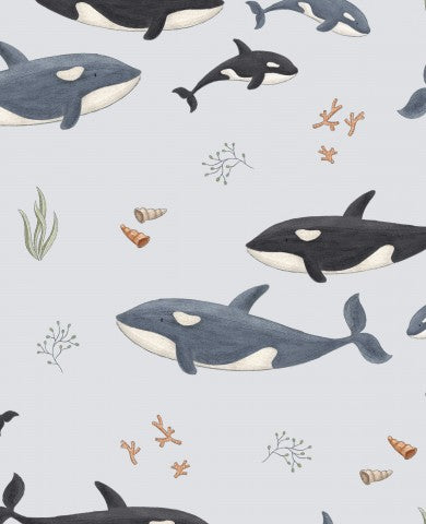 Jersey Killer Whales prusian blue color