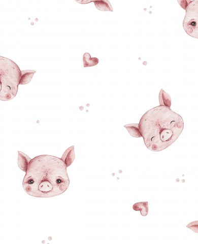 Jersey Little Piglets