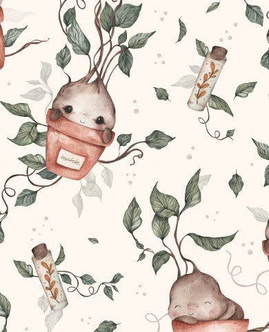 Jersey plants and animals in pots
