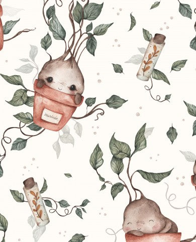 Jersey plants and animals in pots