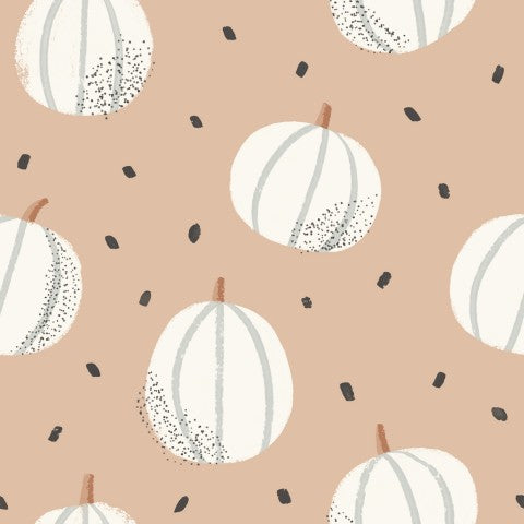  Zucche e semi in tessuto impermeabile su sfondo beige