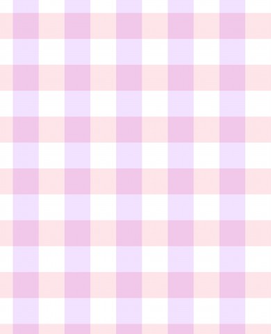 Jersey lilac gingham strawberrygirl