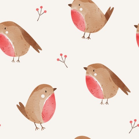 Jersey Little Robin Red
