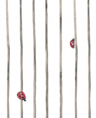 Jersey ladybug stripes white