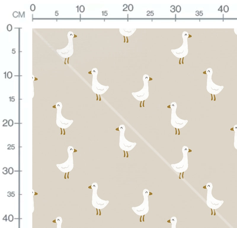 Measurements