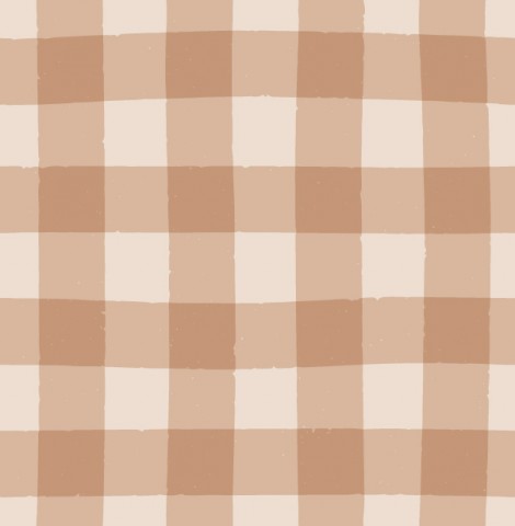 Wasserdichter Stoff Mini Gingham Warm Brown