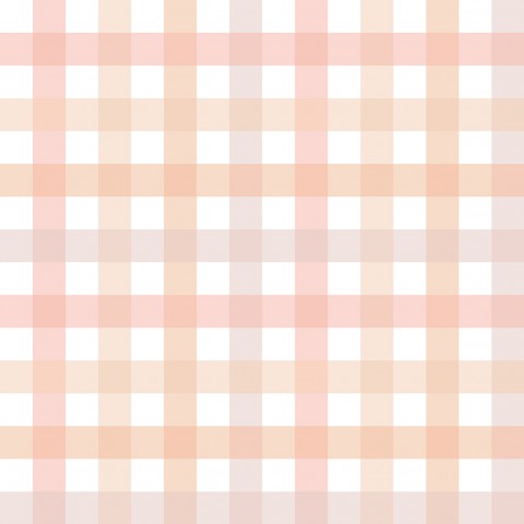 Jersey Mini in Gingham Pink and Peach