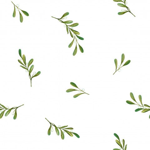 Jersey mistletoe on white