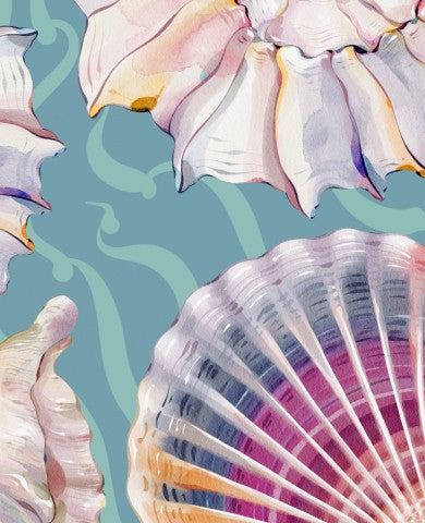  Conchiglie di French Terry su un'illustrazione ad acquerello con sfondo blu