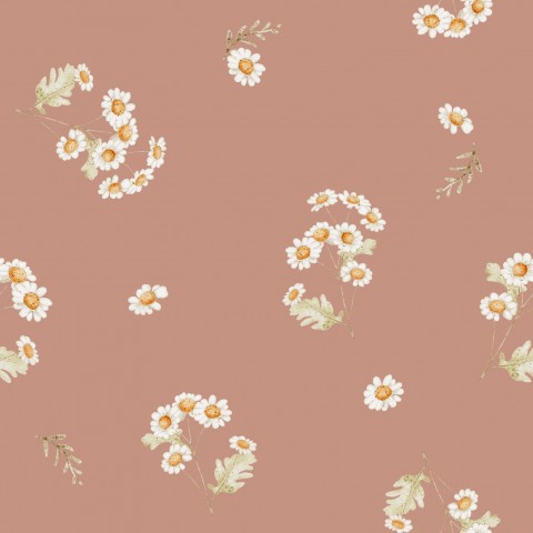 Jersey Feverfew Flower Land