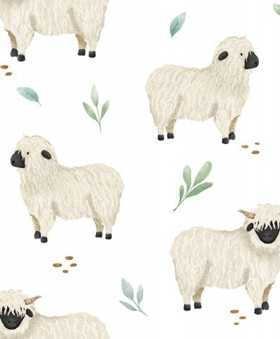 Jersey Cute Sheep on White