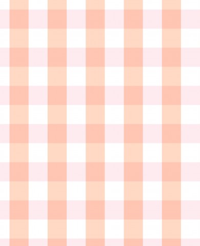 Jersey peach gingham strawberrygirl