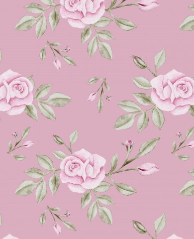 Jersey Pink roses pink